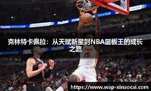克林特卡佩拉：从天赋新星到NBA篮板王的成长之路