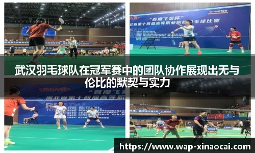 武汉羽毛球队在冠军赛中的团队协作展现出无与伦比的默契与实力