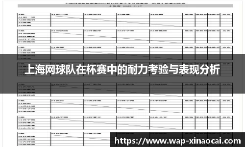 上海网球队在杯赛中的耐力考验与表现分析